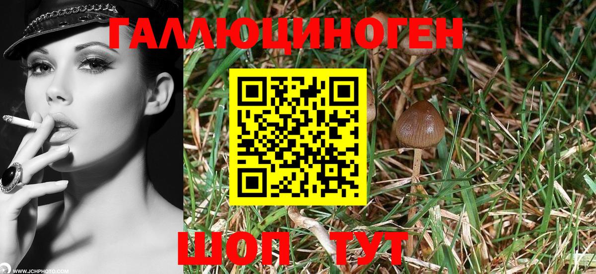 сколько стоит  Псилоцибиновые грибы ЛСД  Михайловск  Вход с VPN  Галлюциногенные грибы Magic Shrooms 